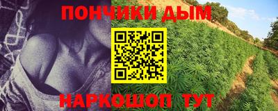 альфа пвп Гай